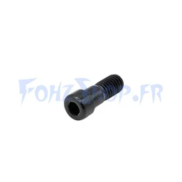 Vis M8x20 support de suspension avant haut V1 pour Dualtron Pop - Vue 1