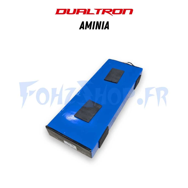 Batterie 52V 17,5Ah 14S5P pour Dualtron Aminia Single Motor - Vue 1