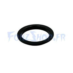 Bague de roulement pour Teverun Fighter Mini, Blade Mini Ultra & Space - Vue 1
