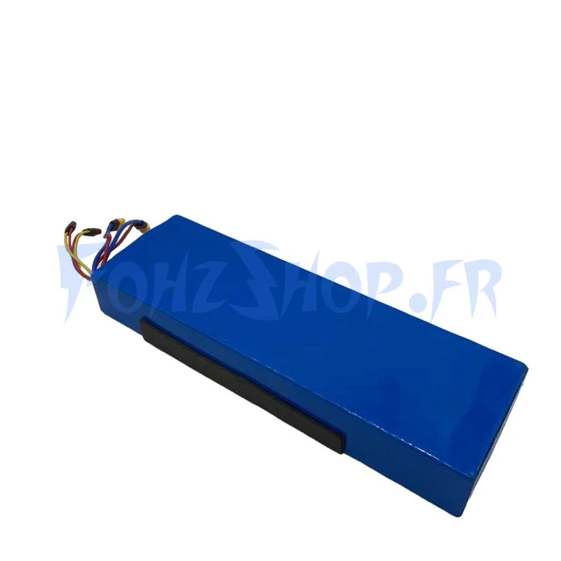 Batterie 52V 18Ah pour Hero X8 - Vue 1