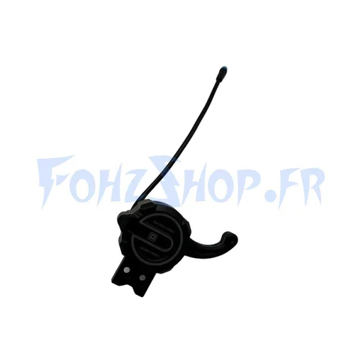 Accélérateur pour Dualtron