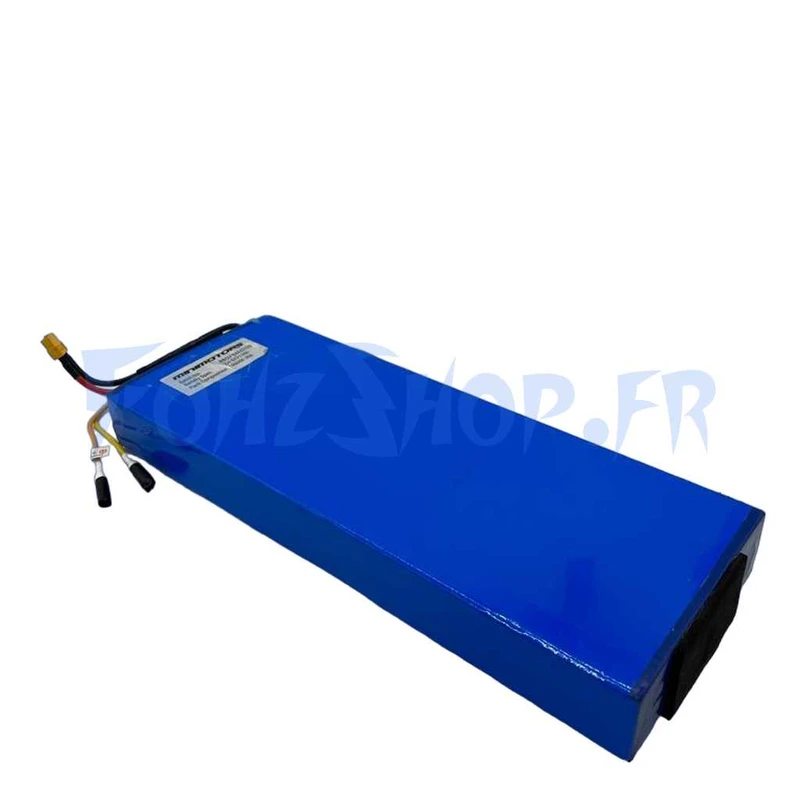 Batterie 52V 13Ah reconditionnée pour Dualtron Mini - Vue 1