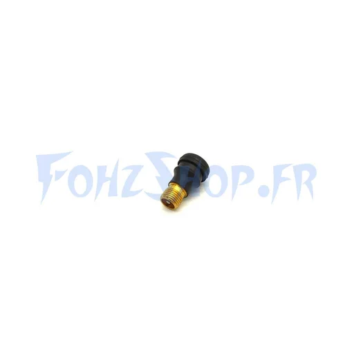 Valve de pneu tubeless pour Dualtron, Rovoron & Speedway