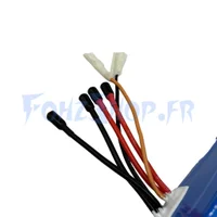 Batterie 60V 24Ah pour Dualtron Victor, Victor Luxury, Spider 2 & Forever LTD - Vue 2