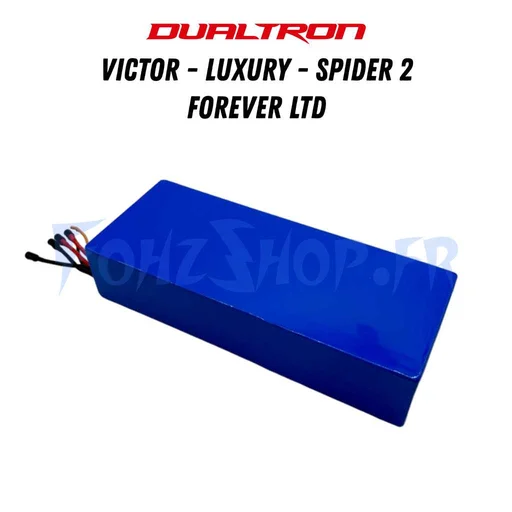 Batterie 60V 24Ah pour Dualtron Victor, Victor Luxury, Spider 2 & Forever Limited