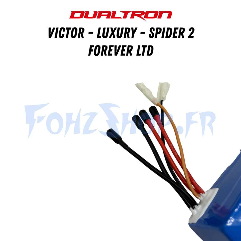 Batterie 60V 24Ah pour Dualtron Victor, Victor Luxury, Spider 2 & Forever Limited - Vue 2