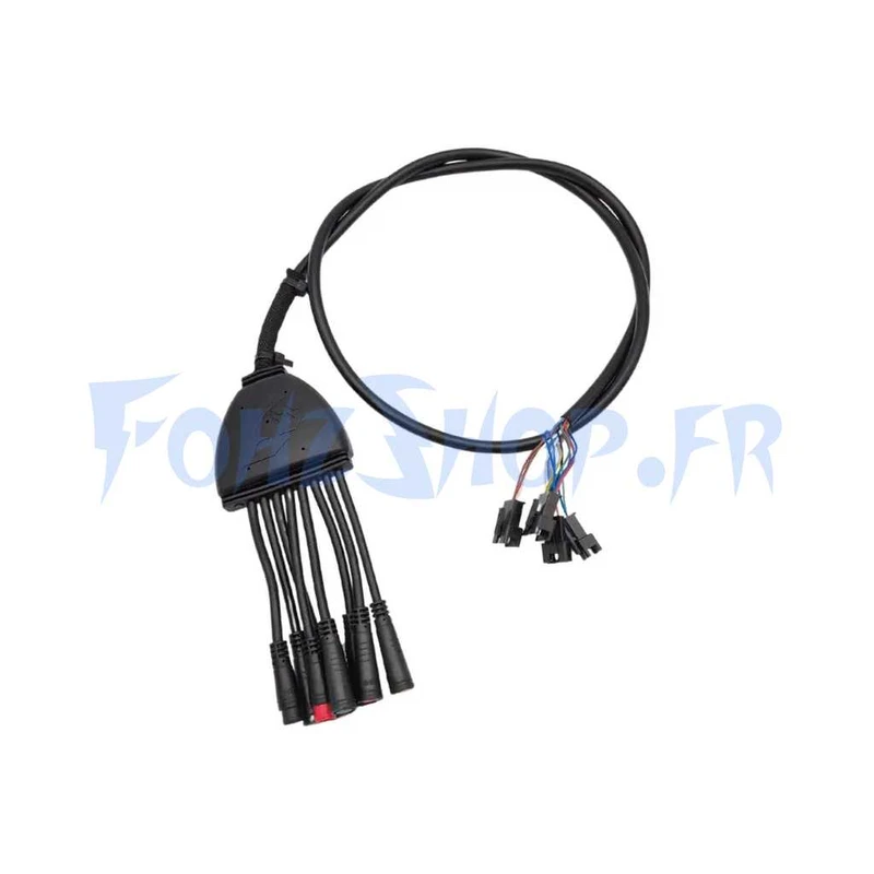 Câble principal pour Nami Stellar - Vue 1