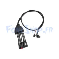 Câble principal pour Nami Stellar - Vue 2