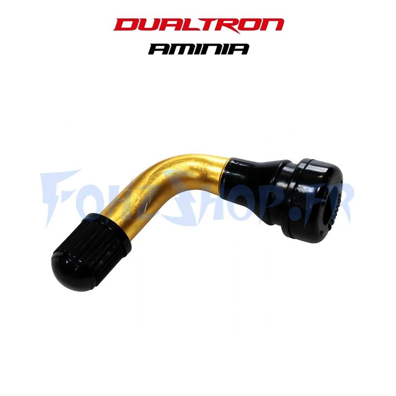 Valve pour Dualtron Aminia mono moteur & Dolphin - Vue 1