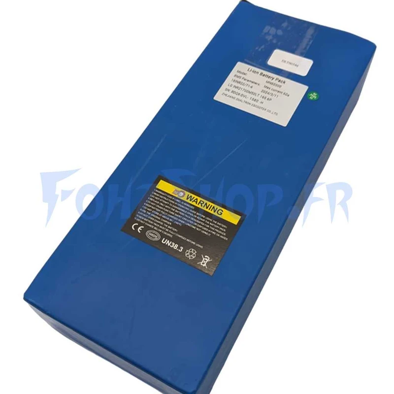 Batterie 60V 30Ah pour Dualtron Spider 2 - Vue 1