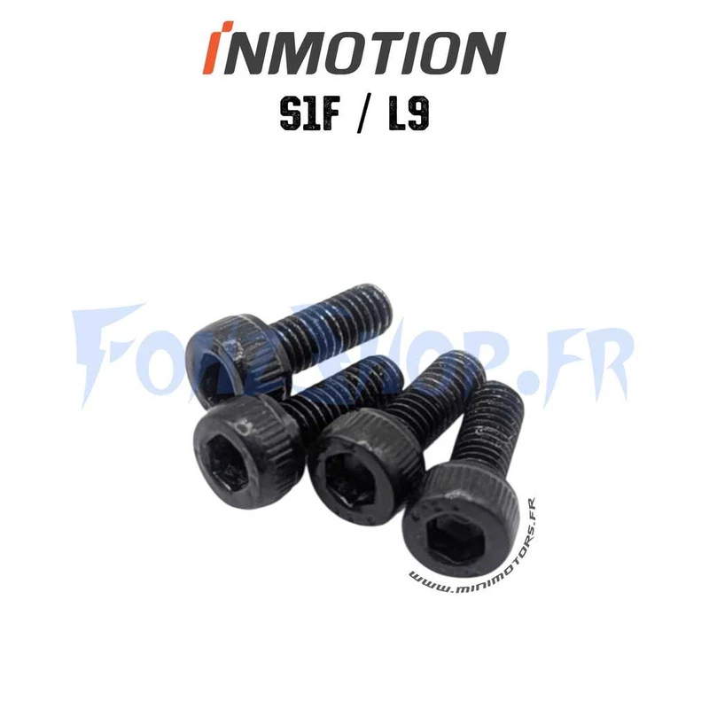 Vis support contrôleur pour Inmotion S1F - Vue 1