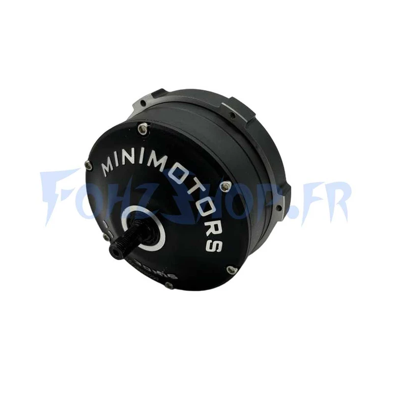 Moteur 36V pour Dualtron Togo - Vue 1