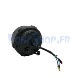Moteur 36V pour Dualtron Togo - Vue 2