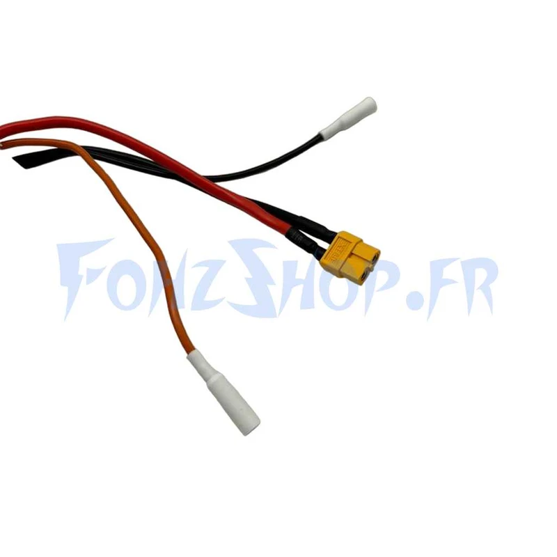 Batterie 36V 12Ah pour Dualtron Togo - Vue 2