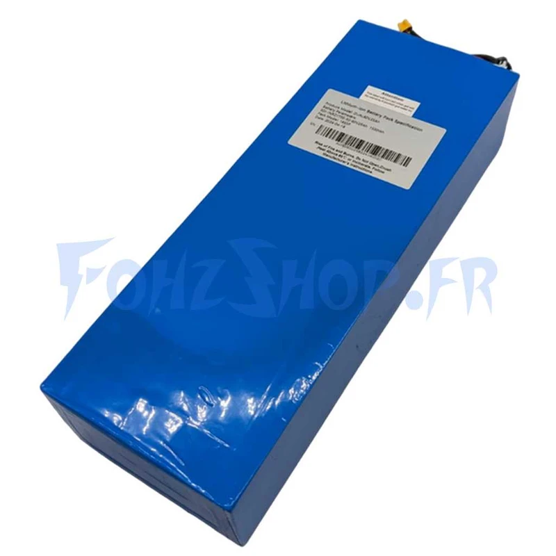 Batterie 60V 25Ah pour Teverun Mini Pro - Vue 1