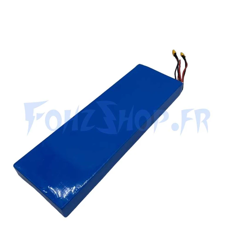 Batterie 52V 21Ah pour Dualtron Aminia double moteur - Vue 1