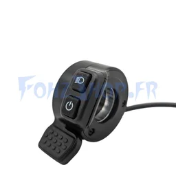 Accélérateur pour Dualtron Dolphin - Vue 1