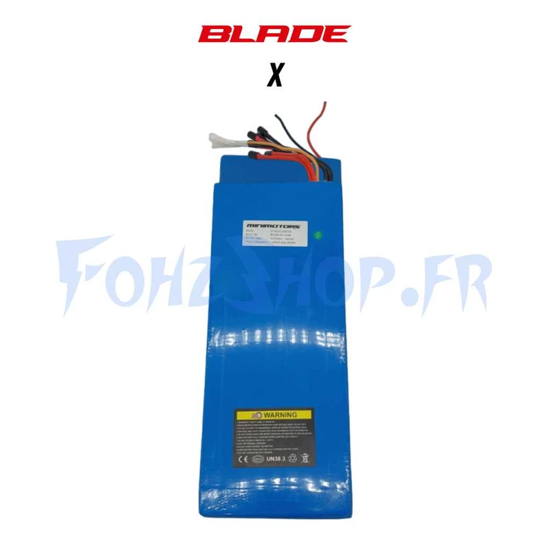 Batterie 60V 24Ah pour Blade X & X 2023 - Vue 1