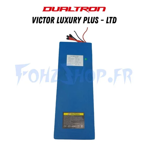 Batterie 60V 35Ah pour Dualtron Victor Luxury + & Victor Limited