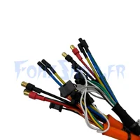 Contrôleur 60V 30A pour Dualtron Victor Luxury & Victor Luxury Plus (LDVH / DVH) - Vue 2