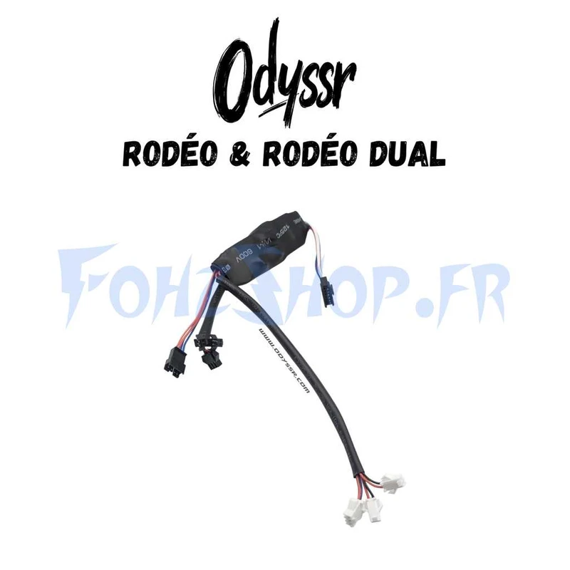 Convertisseur LED pour Odyssr Rodeo & Rodeo Dual - Vue 1