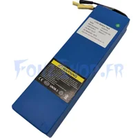 Batterie 36V 7,8Ah pour Dualtron Dolphin - Vue 1