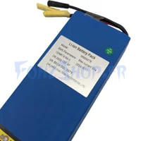 Batterie 36V 7,8Ah pour Dualtron Dolphin - Vue 2