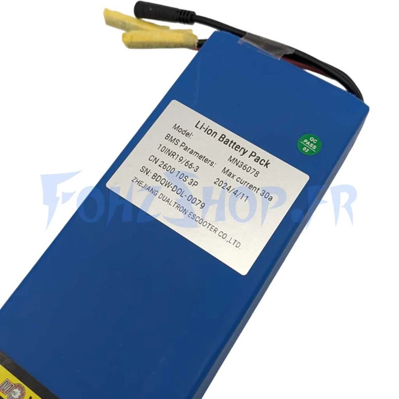 Batterie 36V 7,8Ah pour Dualtron Dolphin - Vue 2