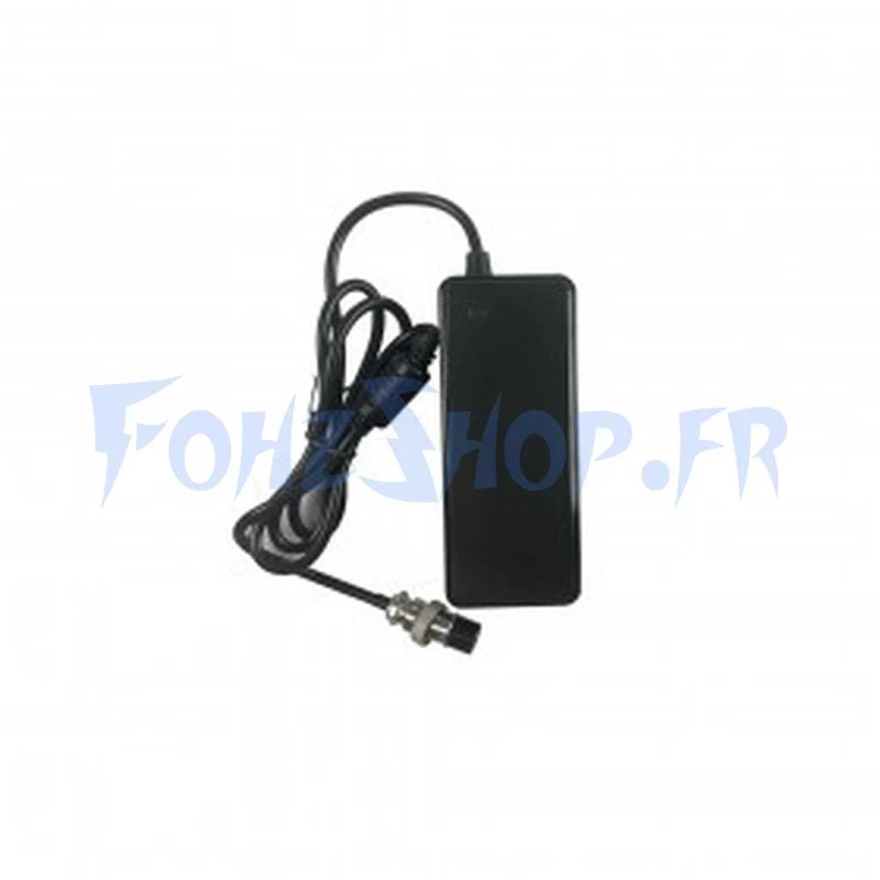 Pack chargeur 24V > 29.4V / 2A (connecteur DC 5.5×2.1 mm) - Vista 2