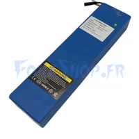Batterie 36V 12Ah pour Dualtron Dolphin - Vue 1