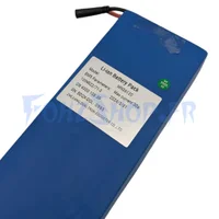 Batterie 36V 12Ah pour Dualtron Dolphin - Vue 2