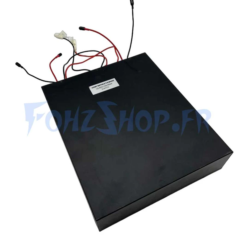 Batterie 60V 49Ah pour Dualtron X - Vue 1