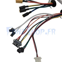 Contrôleur 60V 55A pour Dualtron Man - Vue 2