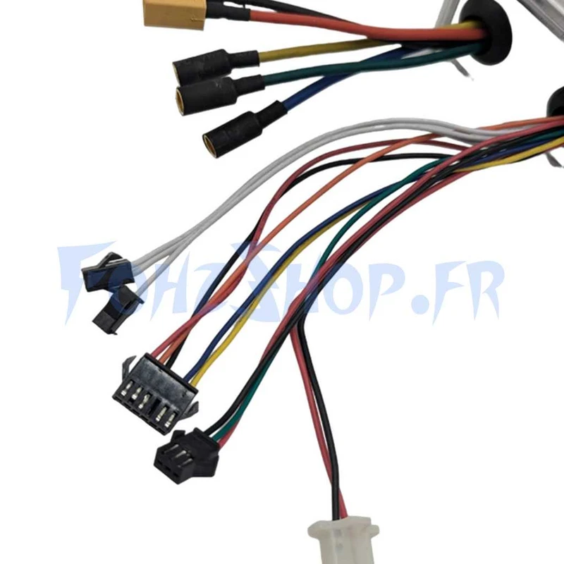 Contrôleur 60V 55A pour Dualtron Man - Vue 2