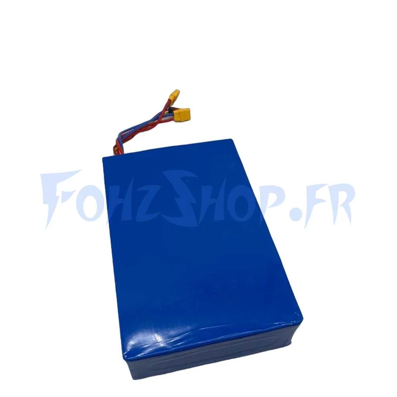 Batterie 60V 25Ah pour Hero X - Vue 1