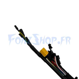 Contrôleur 36V 25A pour Dualtron Togo - Vue 2