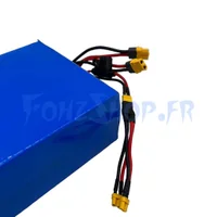 Batterie 52V 20Ah reconditionnée pour Teverun Fighter Mini - Vue 2
