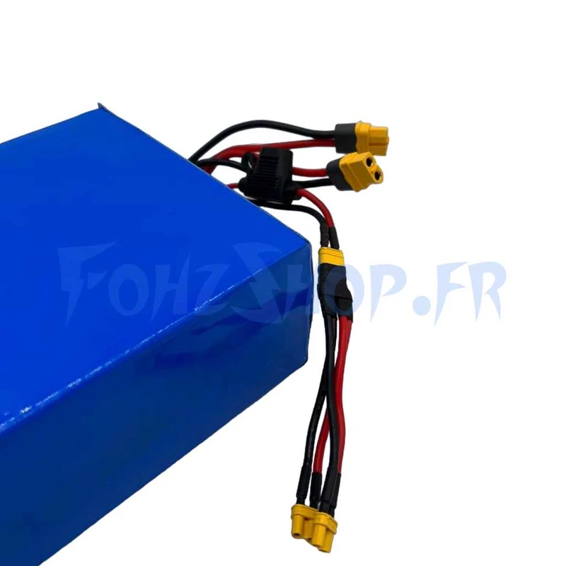 Batterie 52V 20Ah reconditionnée pour Teverun Fighter Mini - Vue 2