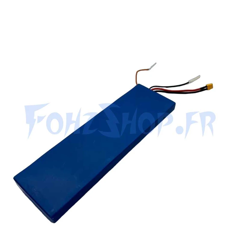 Batterie 48V 12Ah pour Dualtron Togo Plus - Vue 1