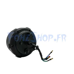 Moteur 48V pour Dualtron Togo & Togo Pro - Vue 2