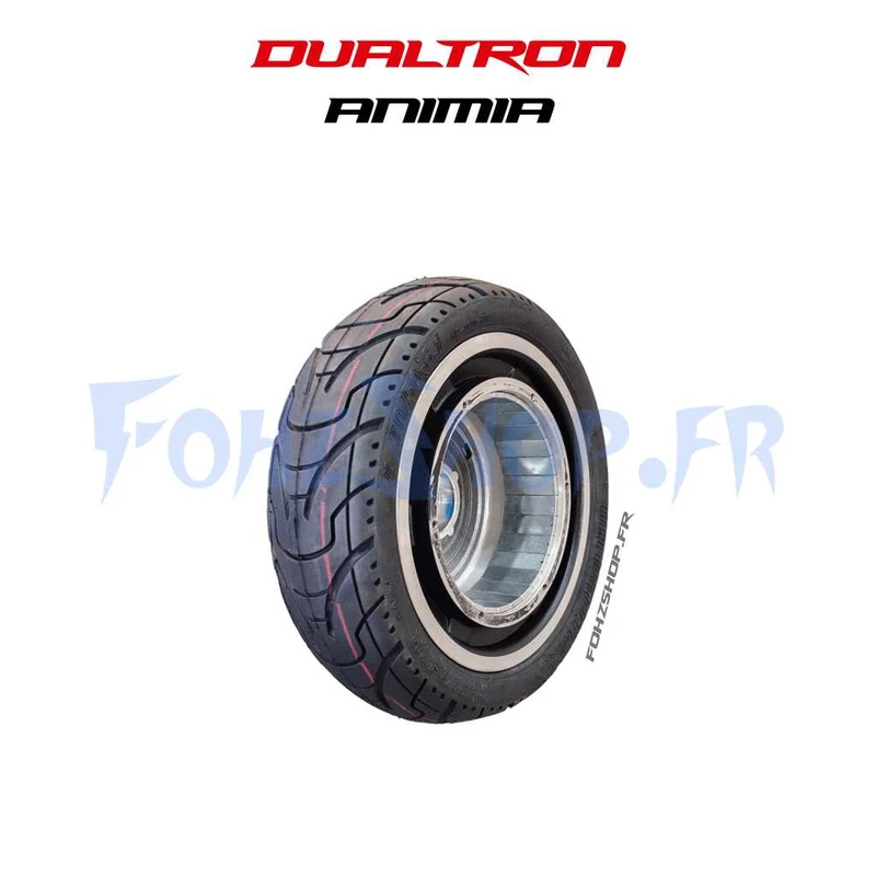 Pneu et jante arrière pour Dualtron Aminia double moteur - Vue 1